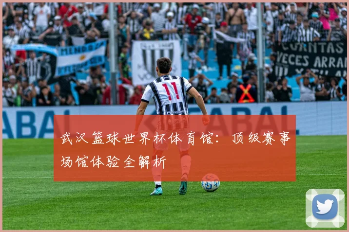 武汉篮球世界杯体育馆：顶级赛事场馆体验全解析