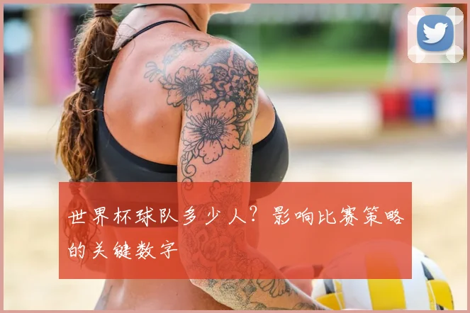 世界杯球队多少人?影响比赛策略的关键数字