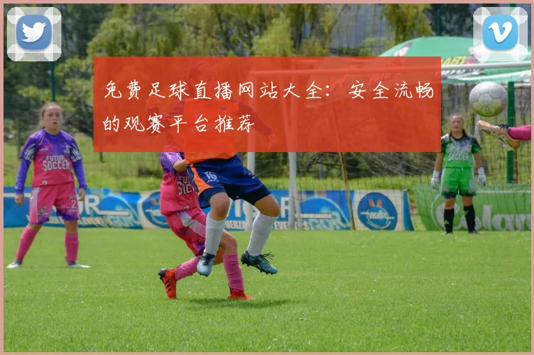 免费足球直播网站大全：安全流畅的观赛平台推荐