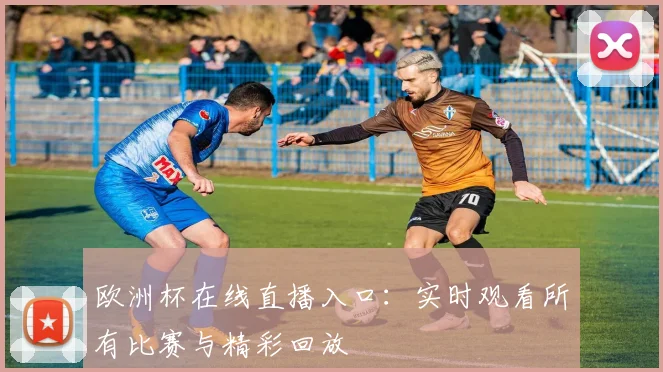 欧洲杯在线直播入口：实时观看所有比赛与精彩回放