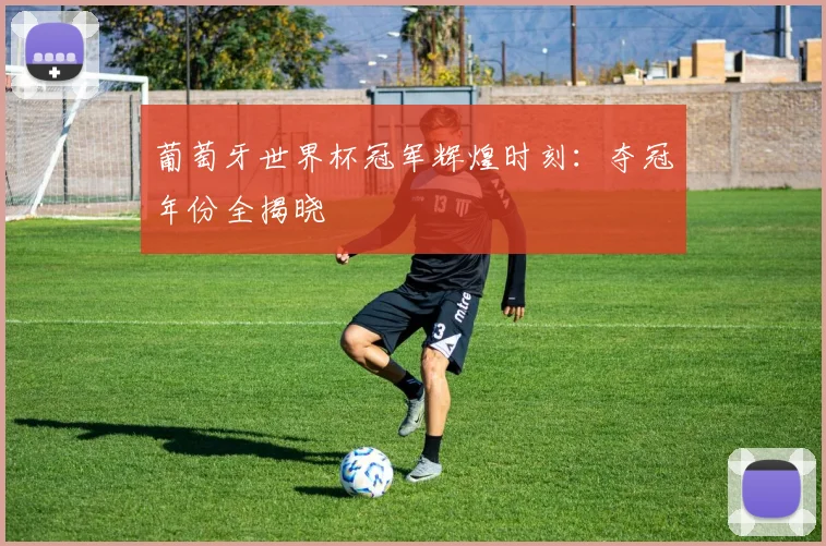 葡萄牙世界杯冠军辉煌时刻：夺冠年份全揭晓