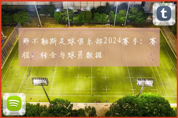 那不勒斯足球俱乐部2024赛季：赛程、转会与球员数据